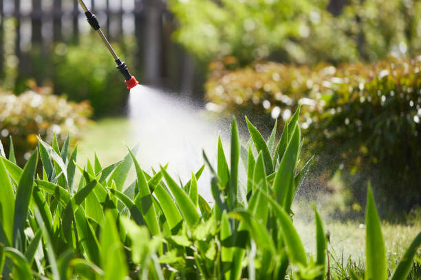 24/7 Emergency Wasp Removal experts in Lafayette, IN