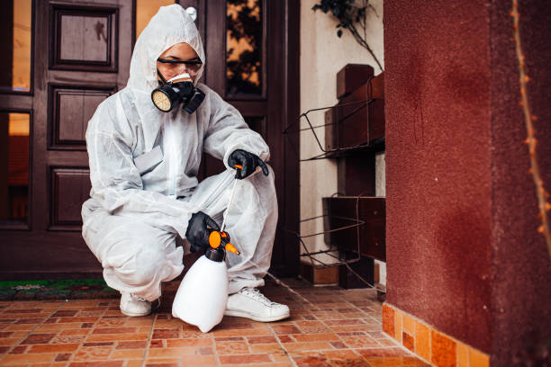 Reliable Wasp Removal contractor in Lafayette, IN by Show Me Pest Control